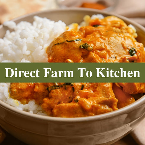 Garam Masala Whole Plastic Shaker - 0.33 lbs (150g) | Himalayan Chef